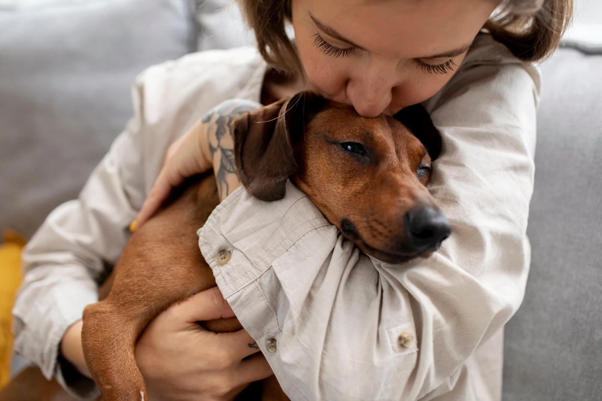 7 merkkiä siitä, että olet vastuullinen koiranomistaja