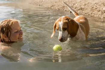 Vesiturvallisuus: koirien turvalliset uintisäännöt